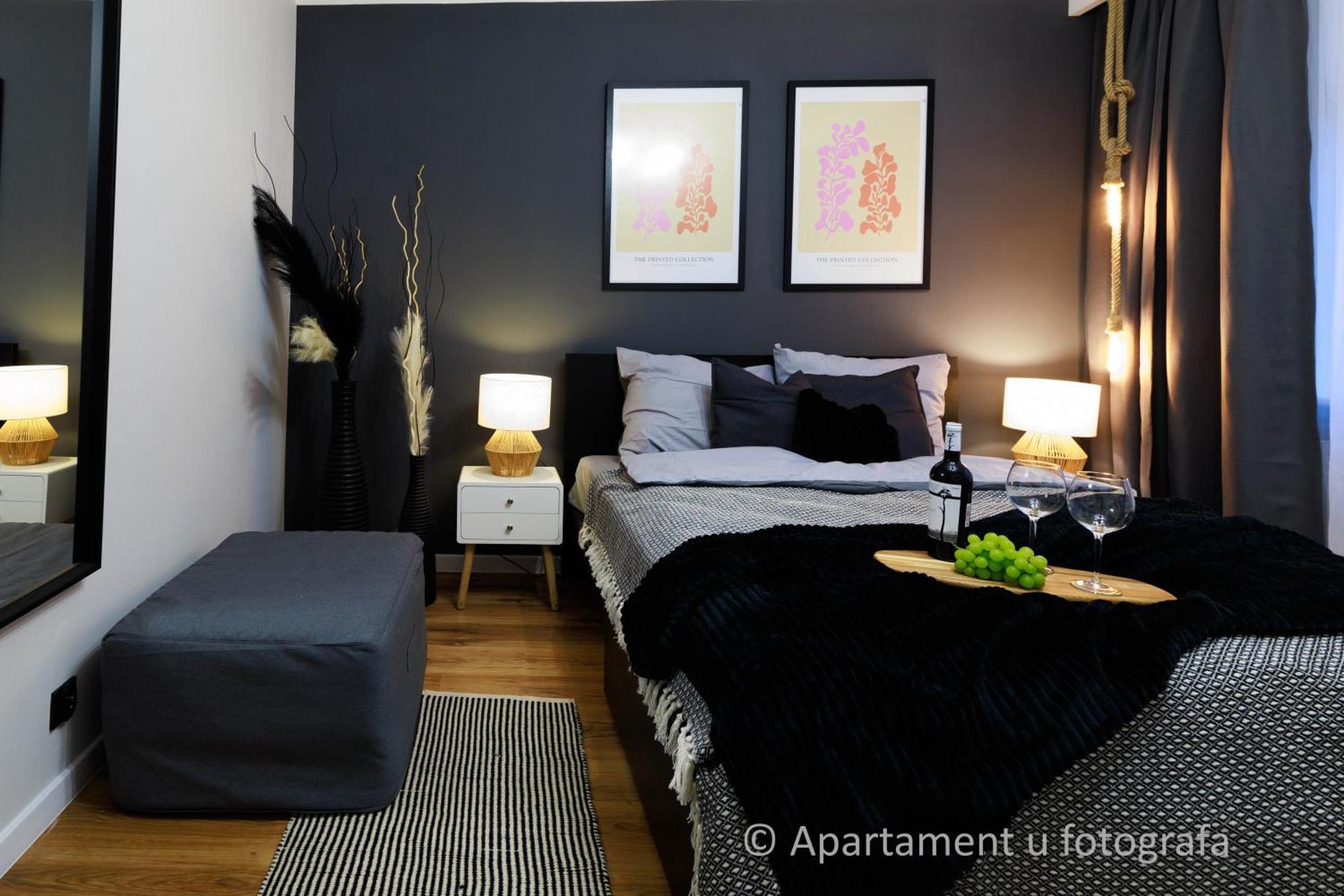 Apartment U Fotografa - Poznan Przy A2 *